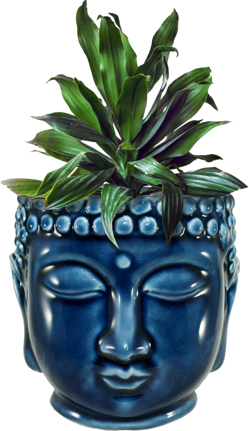 XD137 - Buddha Planter