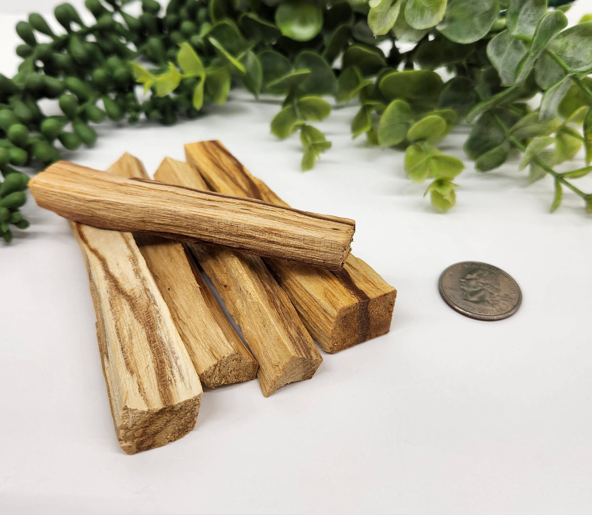 Palo Santo Stick 3-4" Length