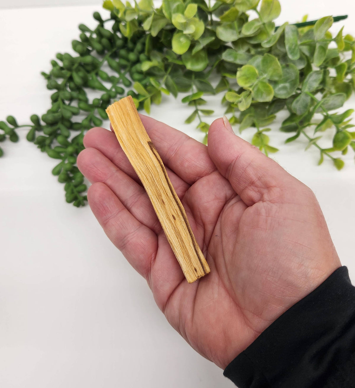 Palo Santo Stick 3-4" Length