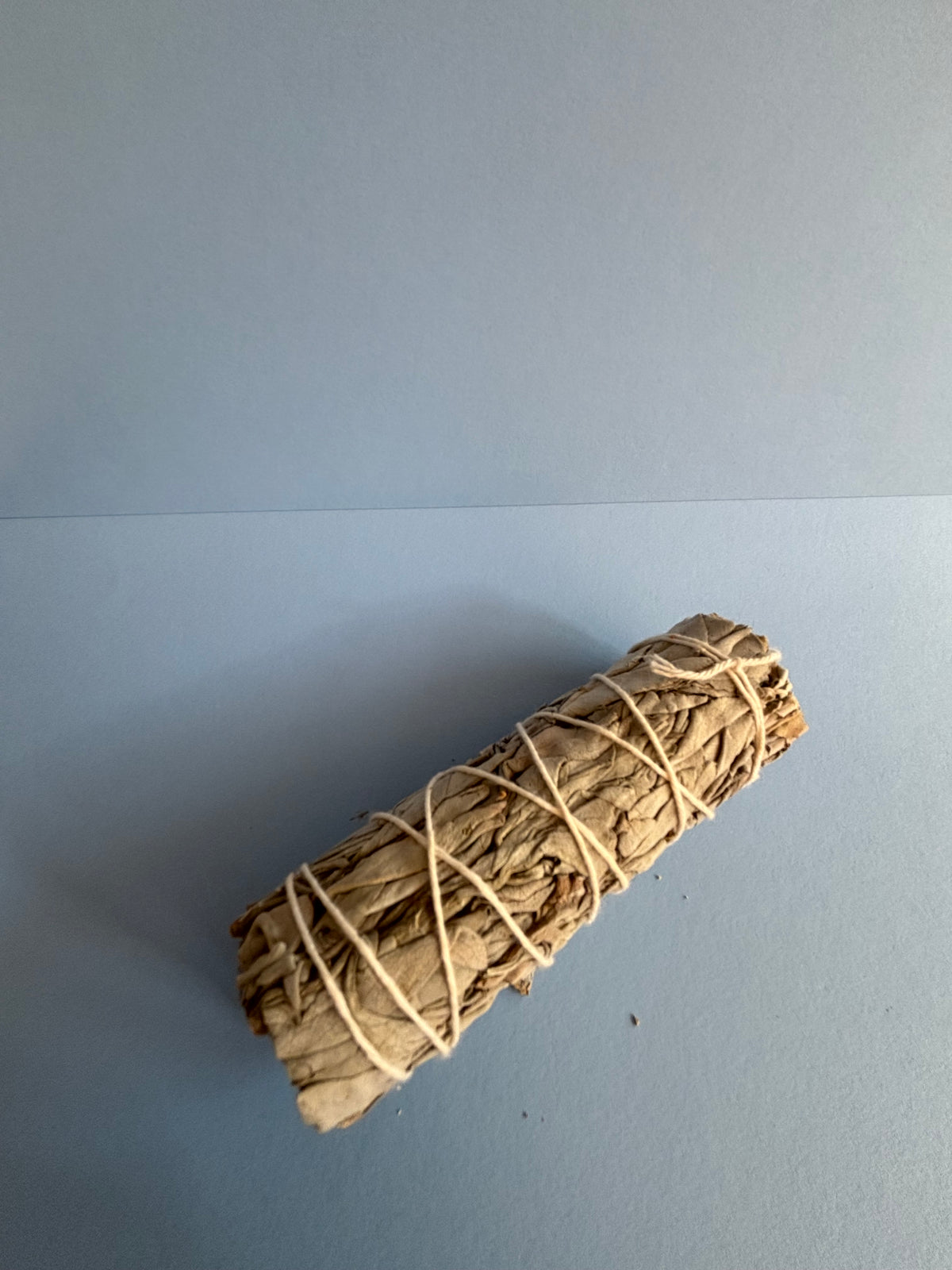California White Sage (Salvia Apiana) - 1 Piece