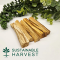 Palo Santo Stick 3-4" Length
