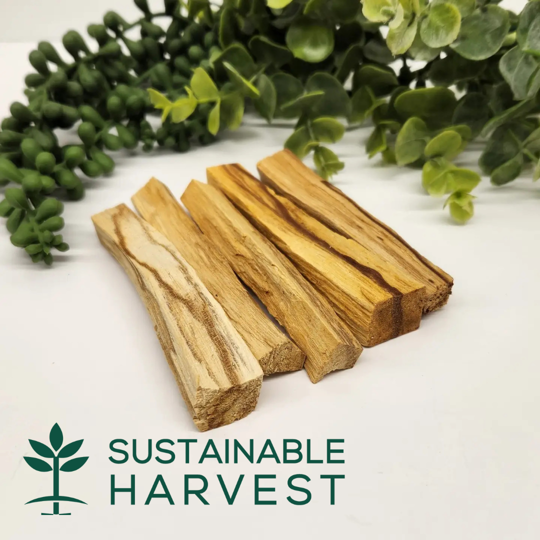 Palo Santo Stick 3-4" Length